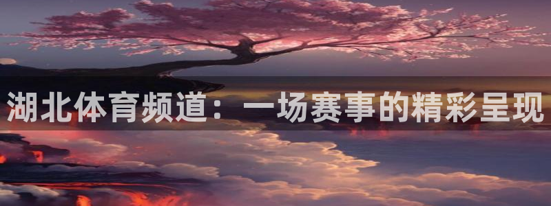 湖北体育频道：一场赛事的精彩呈现