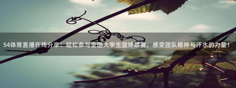54体育直播在线分享：轻松参与全国大学生篮球联赛，感受团队精神与汗水的力量！